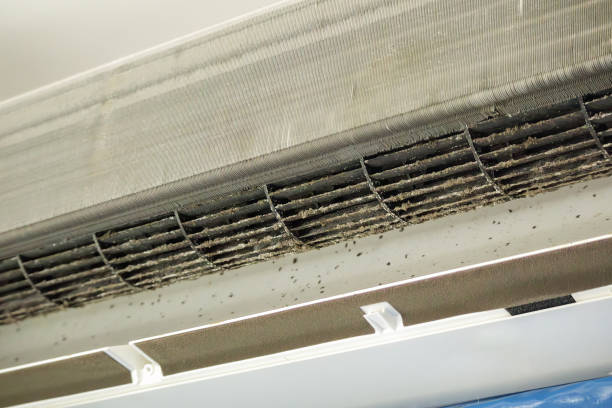 Best Air Duct Cleaning Near Me  in Blaine, WA